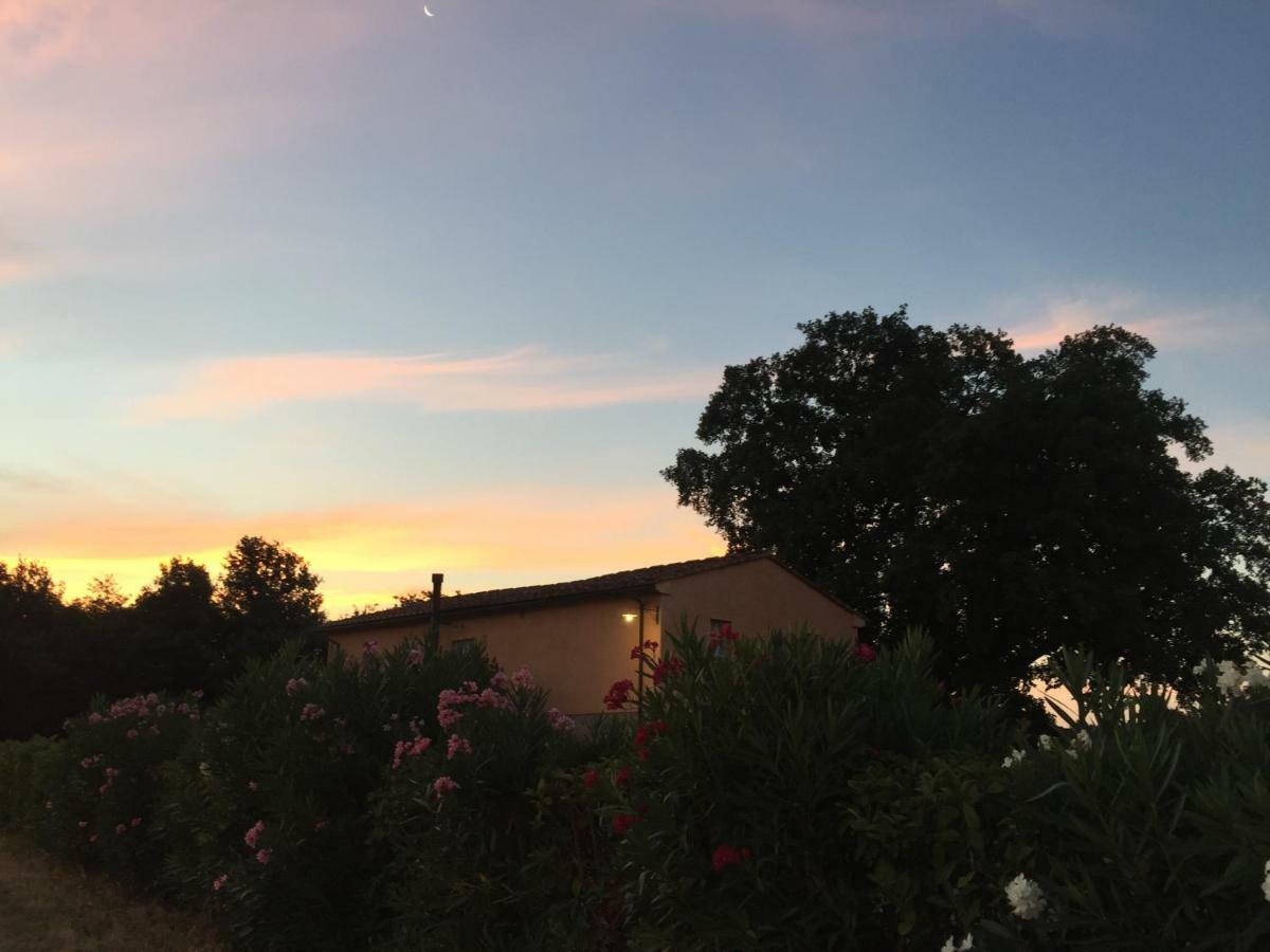 Agriturismo Pieve De Pitti Terricciola Eksteriør billede