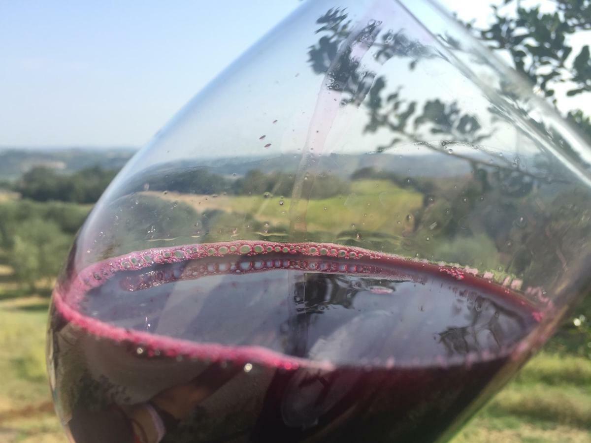 Agriturismo Pieve De Pitti Terricciola Eksteriør billede