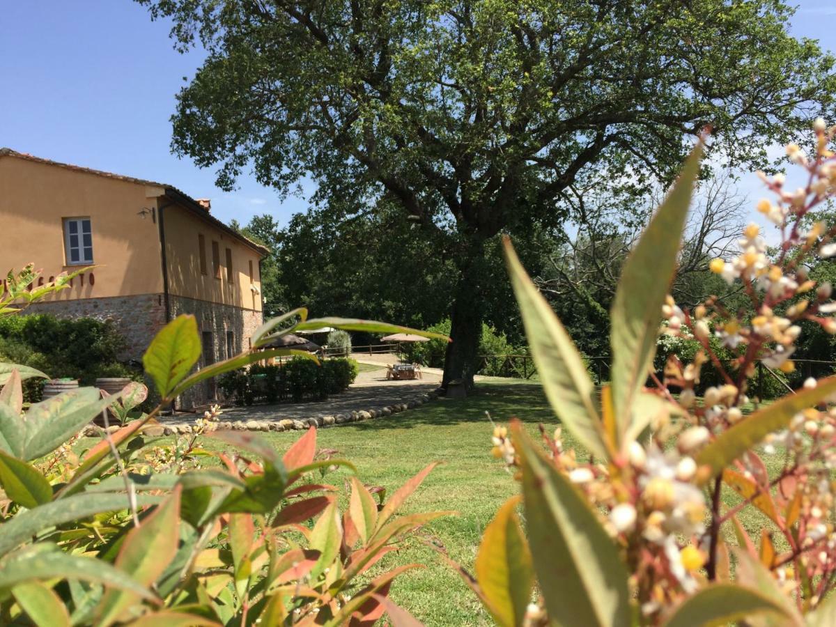 Agriturismo Pieve De Pitti Terricciola Eksteriør billede