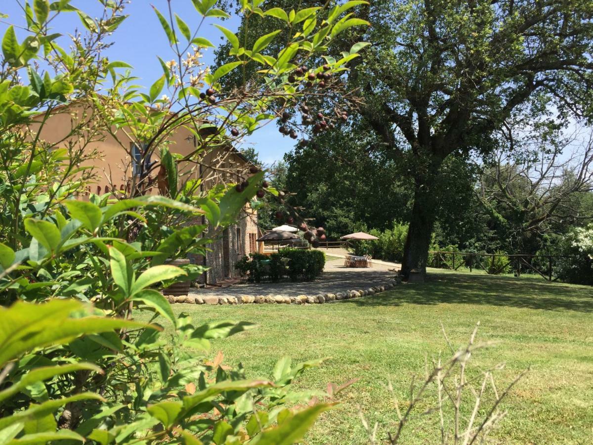 Agriturismo Pieve De Pitti Terricciola Eksteriør billede