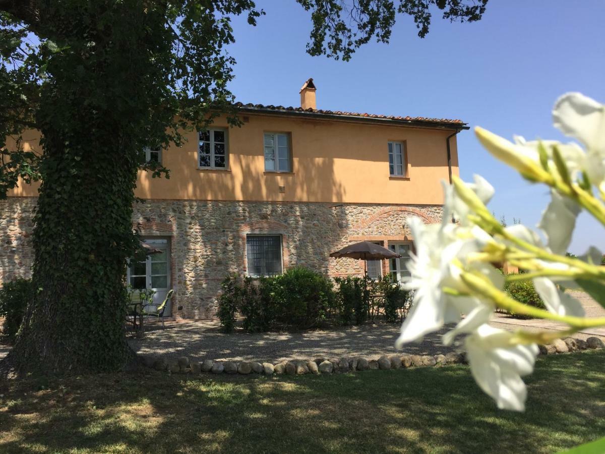 Agriturismo Pieve De Pitti Terricciola Eksteriør billede