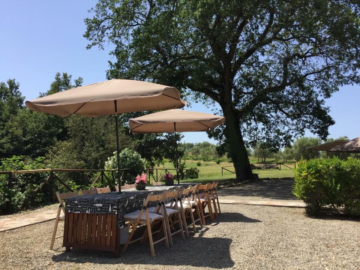 Agriturismo Pieve De Pitti Terricciola Eksteriør billede