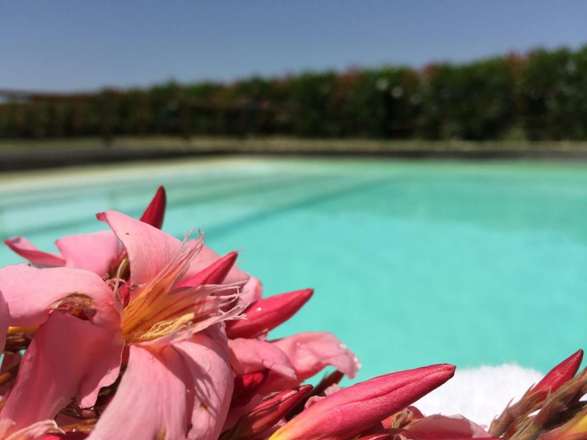 Agriturismo Pieve De Pitti Terricciola Eksteriør billede