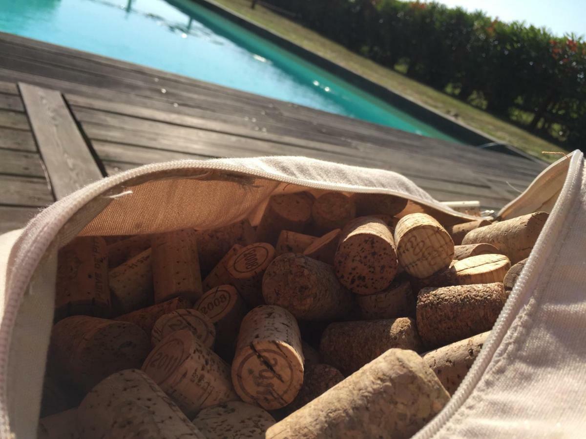 Agriturismo Pieve De Pitti Terricciola Eksteriør billede