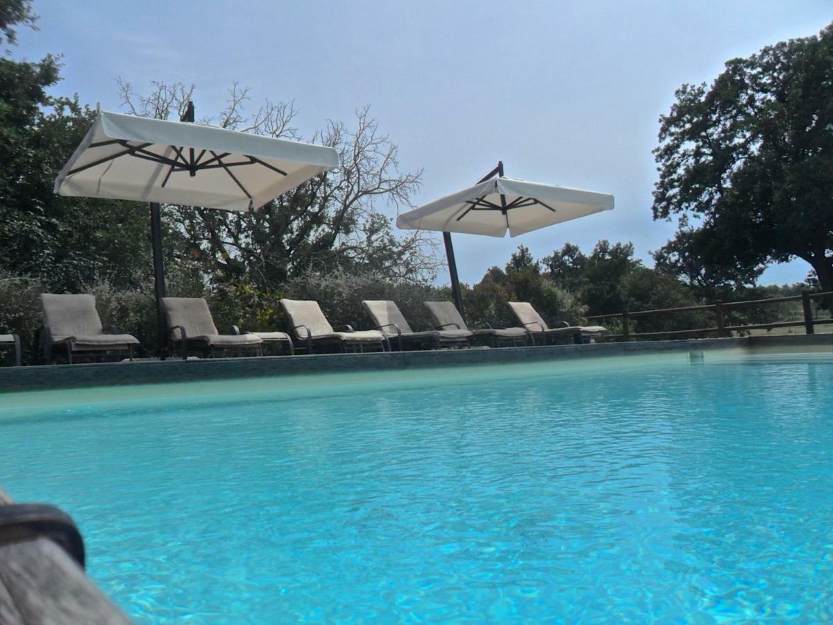 Agriturismo Pieve De Pitti Terricciola Eksteriør billede